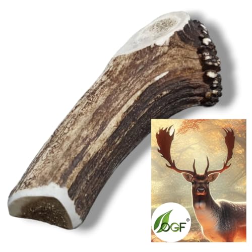 OGF® Damhirschgeweih geteiltes 76-150 g/Ca. 15 cm Kaugsnack für Hunde- mit Mineralstoffen, 100% Natur, Zahnpflege, Kauastange, Snack, dentla Sticks fur welpen von OGF
