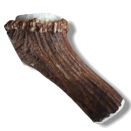 OGF® Hirschgeweih geteiltes 76-150 g/Ca. 15 cm Kaugsnack für Hunde- mit Mineralstoffen, 100% Natur, Zahnpflege, Kauastange, Hirsh von OGF