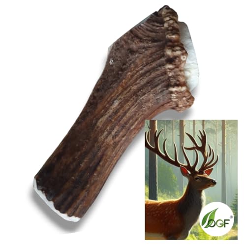 OGF® Hirschgeweih Hund Ganze 151-220 g/Ca 15 cm –Natur Kaugeweih – Langlebiger Kausnack für Hunde – 100% Natur, Zahnreinigung, Mineralstoffe, Starker Kauknochen für große Hunde von OGF