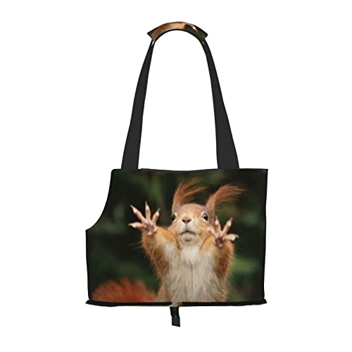 Eichhörnchen Lustige Tier Faltbare Hundetragetasche Geldbörse Tasche Geeignet für Welpen, kleine Hunde und Katzen für Outdoor Reisen von OGNOT