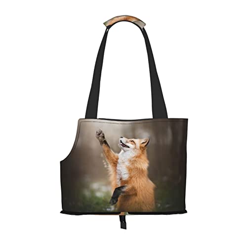Hundetragetasche mit Tierfuchsmuster, faltbar, geeignet für Welpen, kleine Hunde und Katzen für Outdoor-Reisen von OGNOT