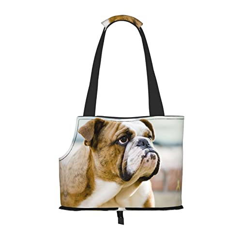 Lustige Englische Bulldogge Faltbare Hundetragetasche Geldbörse Tragetasche Geldbörse Geeignet für Welpen, kleine Hunde und Katzen für Outdoor Reisen von OGNOT