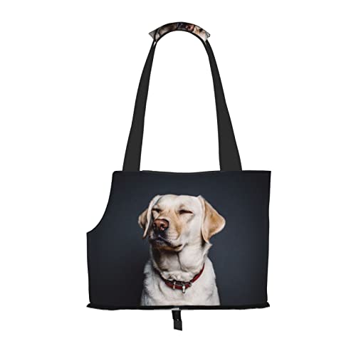 Transporttasche für kleine Hunde und Katzen, Motiv: süßer Labrador mit weichen Seiten, für U-Bahn/Einkaufen/Wandern/Reisen von OGNOT