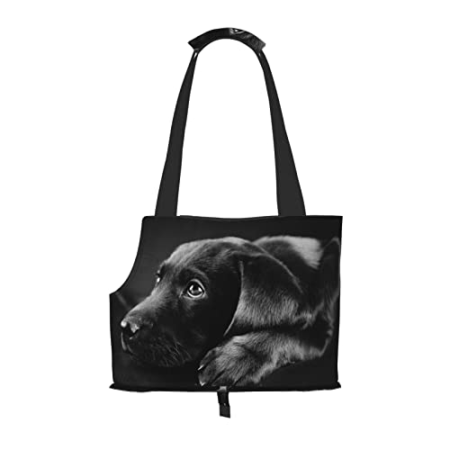 Transporttasche für kleine Hunde und Katzen, weich, für U-Bahn/Einkaufen/Wandern/Reisen von OGNOT