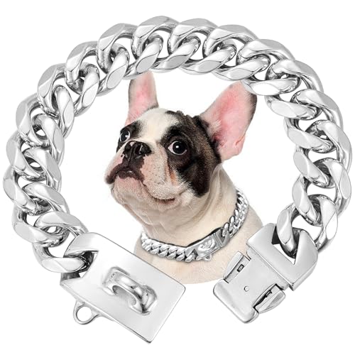 15mm Breite Rostfreier Stahl Hundehalsband Metall Hundehalsband Hundekette Halsbänder Pet Training Walking Halsband (Silbrig,25cm) von OH-JEWPHX
