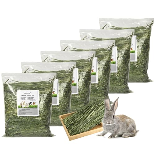 OHCOOL Timothy Heu Premium Heu für Kaninchen, Meerschweinchen, Chinchilla, natürliches frisches Heu, handverlesen, Timothy Heu, 3 kg OHCOOL Timothy Heu Premium Heu für Kaninchen, Meerschweinchen, Chinchilla, natürliches frisches Heu, handverlesen, Timothy Heu, 3 kg von OHCOOL