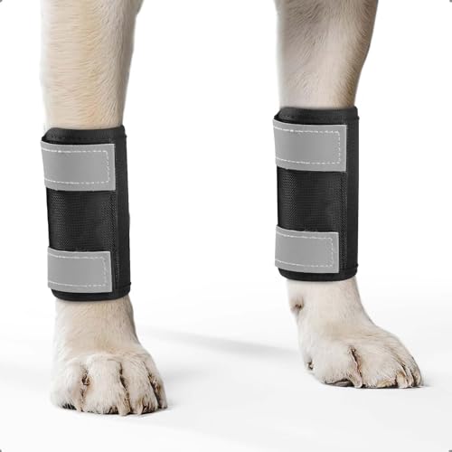 OHCOZZY Hundeschiene 2 Einheiten Vorderbein mit reflektierenden Riemen, Hund Handgelenkstütze gegen Lecken, Hundebandagen für Wickel Wunde Verletzung und Verstauchung Heilung,L von OHCOZZY