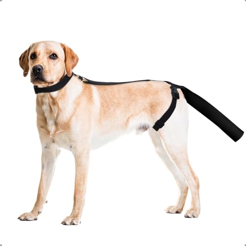 OHCOZZY Hundeschwanz Schutz, Hundegeschirr mit Schutzhülle für die Schwanzenden, Verband Hund Rutenschutz für leckschutz eine Bequeme Genesung nach Wundverletzungen(Größe L) von OHCOZZY