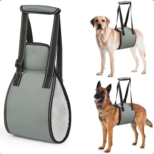OHCOZZY Hundetragegurt mit Griff, verstellbares Hundegeschirr für die Rehabilitation, weiche Hunde tragehilfe für ältere, verletzte, behinderte Hunde,Größe L OHCOZZY Hundetragegurt mit Griff, verstellbares Hundegeschirr für die Rehabilitation, weiche Hunde tragehilfe für ältere, verletzte, behinderte Hunde,Größe L von OHCOZZY