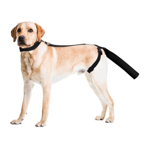 Ohcozzy Hundeschwanzschutz, weicher Schwanzschutz für mittelgroße und große Hunde, verstellbare Abdeckung, um Lecken zu verhindern und die Wundheilung zu unterstützen, Größe M, Schwarz von OHCOZZY