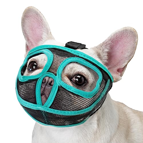 Ohcozzy Maulkorb für Hunde, mit kurzer Schnauze, verstellbar, deckt die Augen nicht ab, Netz-Maulkorb für Bulldogge, zum Beißen, Kauen und Lecken (XL, Grün) von OHCOZZY
