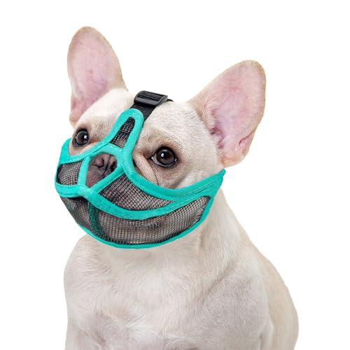 Ohcozzy Maulkorb für Hunde mit kurzer Schnauze, bedeckt nicht die Stirn, Bulldogge, verstellbares Netzgewebe, verhindert Beißen, Kauen, Bellen (M, Grün) von OHCOZZY