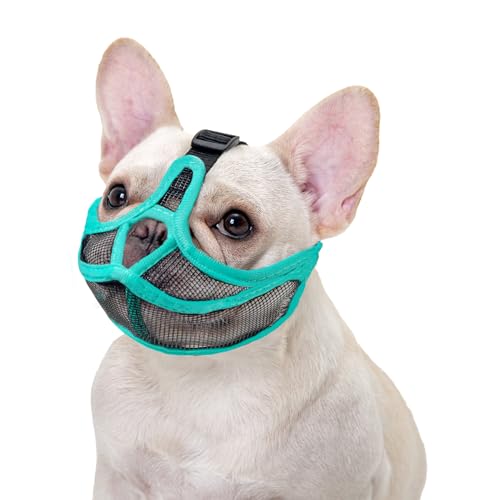 Ohcozzy Maulkorb für Hunde mit kurzer Schnauze, bedeckt nicht die Stirn, Bulldogge, verstellbares Netzgewebe, verhindert Beißen, Kauen, Bellen (XL, Grün) von OHCOZZY