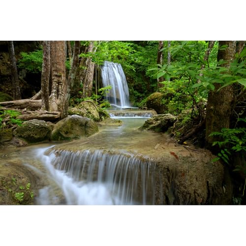OHIOCATII Wasserfall-Aquarium-Hintergrund, natürlicher Dschungel, Regenwald, Landschaft, Terrarium, Hintergrund, Dschungel, Wasserfall-Stil, Bachlauf, Aquarium, Hintergrund, Wasserfall, Wald, Felsen, OHIOCATII Wasserfall-Aquarium-Hintergrund, natürlicher Dschungel, Regenwald, Landschaft, Terrarium, Hintergrund, Dschungel, Wasserfall-Stil, Bachlauf, Aquarium, Hintergrund, Wasserfall, Wald, Felsen, von OHIOCATII