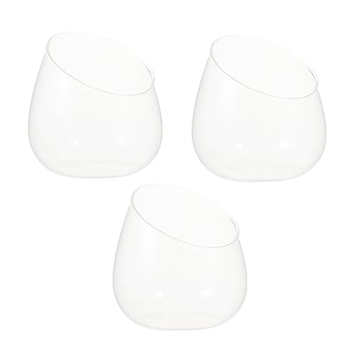 OHPHCALL 3 Stück schräge Glasflasche Kernstück Pflanzenterrarium Terrarien dekorativ gefälscht bescherung Weihnachten weinachtsgeschenk geschke Mikro-Landschaftsglasflasche Ökosystemflasche OHPHCALL 3 Stück schräge Glasflasche Kernstück Pflanzenterrarium Terrarien dekorativ gefälscht bescherung Weihnachten weinachtsgeschenk geschke Mikro-Landschaftsglasflasche Ökosystemflasche von OHPHCALL