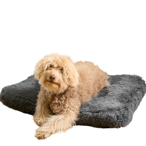 OHS Flauschiges Hundebett, waschbar, rutschfest, großes Haustierbett, ultraweiches Hundebett für Kiste, gepolstertes Kissen für entspanntes Schlafen, Anthrazitgrau, 80 x 60 x 6 cm OHS Flauschiges Hundebett, waschbar, rutschfest, großes Haustierbett, ultraweiches Hundebett für Kiste, gepolstertes Kissen für entspanntes Schlafen, Anthrazitgrau, 80 x 60 x 6 cm von OHS