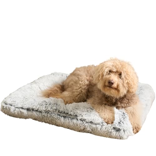 OHS Großes Hundebett, flauschig, weich, bequem, gepolstert, waschbar, rutschfest, großes Haustierbett zum entspannenden Schlafen, Weiß, 80 x 60 x 6 cm OHS Großes Hundebett, flauschig, weich, bequem, gepolstert, waschbar, rutschfest, großes Haustierbett zum entspannenden Schlafen, Weiß, 80 x 60 x 6 cm von OHS