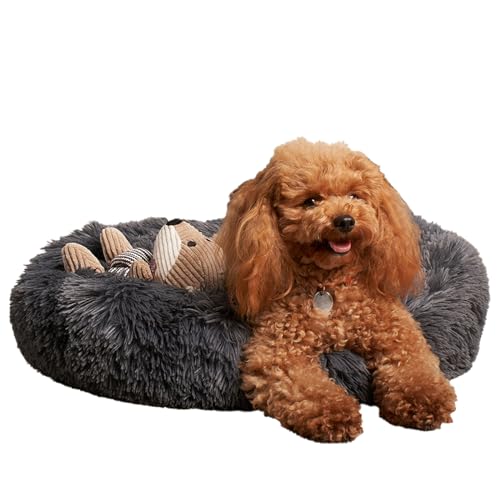 OHS Hunde-Donut-Bett, Anthrazit, Teddy, weiche Schlafbettwäsche für Katzen und Hunde, Flauschiges Hundebett, Haustiermatratze für Wohnzimmer, Küche, flauschig, rutschfest, Größe M OHS Hunde-Donut-Bett, Anthrazit, Teddy, weiche Schlafbettwäsche für Katzen und Hunde, Flauschiges Hundebett, Haustiermatratze für Wohnzimmer, Küche, flauschig, rutschfest, Größe M von OHS