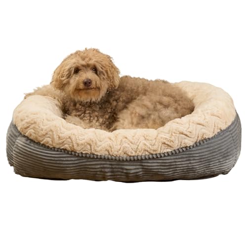 OHS Hundebett groß, superweiches Fleece, 4-seitig, waschbar, Hundebett für Wohnzimmer, Küche, Haustierschlafbett für Hunde, Katzen, Flauschiges Schlafsofa, rutschfest, Creme/Grau OHS Hundebett groß, superweiches Fleece, 4-seitig, waschbar, Hundebett für Wohnzimmer, Küche, Haustierschlafbett für Hunde, Katzen, Flauschiges Schlafsofa, rutschfest, Creme/Grau von OHS