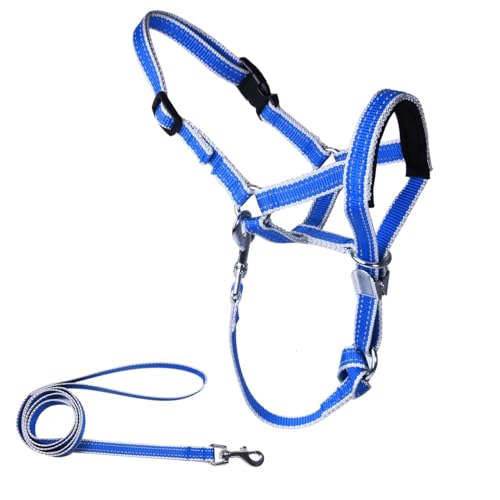 OHVEECA Hundehalfter mit Leine zum Spazierengehen, kein Ziehen, Kopfhalfter für Hunde, einfache Leine, reflektierendes Hundegeschirr mit weicher Polsterung, verstellbar (L, Blau) von OHVEECA