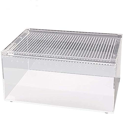 Tragbarer Amphibientank, Büro-Reptilien-Vivarium-Terrarium, Vivarium-Reptilienbox, Aufzucht von Eidechsen-Schildkröten-Schlangenkäfig-Lebensraumtank Tragbarer Amphibientank, Büro-Reptilien-Vivarium-Terrarium, Vivarium-Reptilienbox, Aufzucht von Eidechsen-Schildkröten-Schlangenkäfig-Lebensraumtank von OHaGin