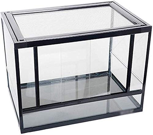 Zuchtbox für Amphibien, Büro-Reptilien-Terrarium, Terrarium-Box, Reptilien-Habitat-Tank – Eidechsen-Schildkrötenkäfig, Uhren-Transportbox von OHaGin