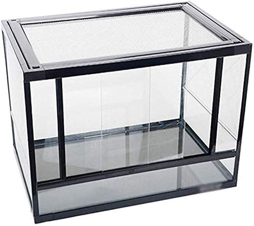 Zuchtbox für Amphibien, Büro-Reptilien-Terrarium, Terrarium-Box, Reptilien-Habitat-Tank – Eidechsen-Schildkrötenkäfig, Uhren-Transportbox Zuchtbox für Amphibien, Büro-Reptilien-Terrarium, Terrarium-Box, Reptilien-Habitat-Tank – Eidechsen-Schildkrötenkäfig, Uhren-Transportbox von OHaGin
