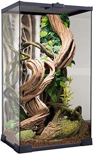 Zuchtbox für Amphibien, Büro-Reptilien-Terrarium, Uhren-Reptilien-Box, Eidechsen-Schildkröten-Schlangenkäfig-Uhrenbecken Zuchtbox für Amphibien, Büro-Reptilien-Terrarium, Uhren-Reptilien-Box, Eidechsen-Schildkröten-Schlangenkäfig-Uhrenbecken von OHaGin