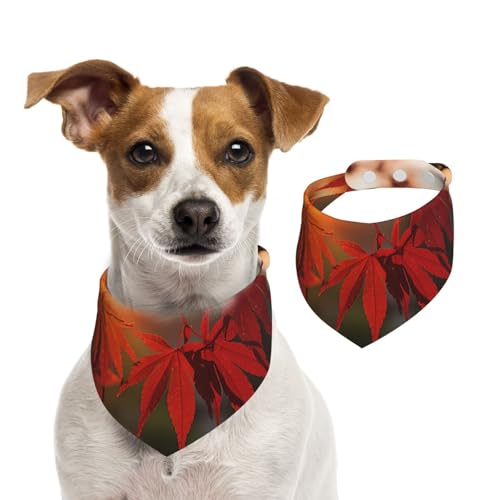 Doppelseitiges Hundehalstuch aus Baumwolle, für Mädchen und Jungen, waschbar, Ahornblätter, glänzend mit Sonnenschein, für kleine, mittelgroße und große Hunde, Katzen, Haustiere, Größe L von OIBNKCN