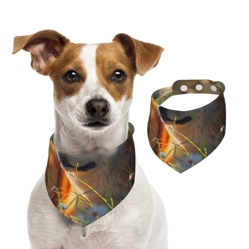 Doppelseitiges Hundehalstuch aus Baumwolle, für Mädchen und Jungen, waschbar, Akita Inu unter der Sonne, für kleine, mittelgroße und große Hunde, Katzen, Haustiere, Größe M Doppelseitiges Hundehalstuch aus Baumwolle, für Mädchen und Jungen, waschbar, Akita Inu unter der Sonne, für kleine, mittelgroße und große Hunde, Katzen, Haustiere, Größe M von OIBNKCN