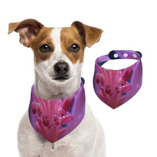 Doppelseitiges Hundehalstuch aus Baumwolle, für Mädchen und Jungen, waschbar, Lilienblumen, gefüllt mit Tau. Hundehalstuch, Lätzchen für kleine, mittelgroße und große Hunde, Katzen, Haustiere, Größe L Doppelseitiges Hundehalstuch aus Baumwolle, für Mädchen und Jungen, waschbar, Lilienblumen, gefüllt mit Tau. Hundehalstuch, Lätzchen für kleine, mittelgroße und große Hunde, Katzen, Haustiere, Größe L von OIBNKCN