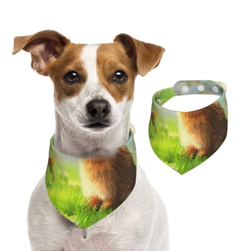 Doppelseitiges Hundehalstuch aus Baumwolle, für Mädchen und Jungen, waschbar, Motiv: Kaninchen beobachtet die Vögel im Garten, für kleine, mittelgroße und große Hunde, Katzen, Haustiere, klein Doppelseitiges Hundehalstuch aus Baumwolle, für Mädchen und Jungen, waschbar, Motiv: Kaninchen beobachtet die Vögel im Garten, für kleine, mittelgroße und große Hunde, Katzen, Haustiere, klein von OIBNKCN