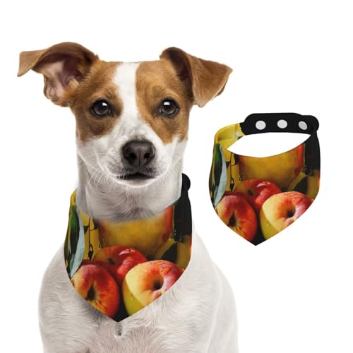 Doppelseitiges Hundehalstuch aus Baumwolle, für Mädchen und Jungen, waschbar, Ölgemälde von Saft und Äpfeln, für kleine, mittelgroße und große Hunde, Katzen, Haustiere, Größe M Doppelseitiges Hundehalstuch aus Baumwolle, für Mädchen und Jungen, waschbar, Ölgemälde von Saft und Äpfeln, für kleine, mittelgroße und große Hunde, Katzen, Haustiere, Größe M von OIBNKCN