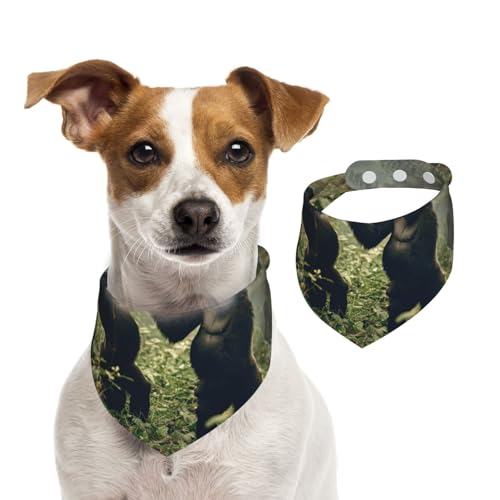 Doppelseitiges Hundehalstuch aus Baumwolle, für Mädchen und Jungen, waschbar, Schimpansen im dichten Wald, für kleine, mittelgroße und große Hunde, Katzen, Haustiere, klein Doppelseitiges Hundehalstuch aus Baumwolle, für Mädchen und Jungen, waschbar, Schimpansen im dichten Wald, für kleine, mittelgroße und große Hunde, Katzen, Haustiere, klein von OIBNKCN