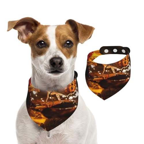 Doppelseitiges Hundehalstuch aus Baumwolle, für Mädchen und Jungen, waschbar, Schmetterling auf Chrysantheme, für kleine, mittelgroße und große Hunde, Katzen, Haustiere, Größe L Doppelseitiges Hundehalstuch aus Baumwolle, für Mädchen und Jungen, waschbar, Schmetterling auf Chrysantheme, für kleine, mittelgroße und große Hunde, Katzen, Haustiere, Größe L von OIBNKCN
