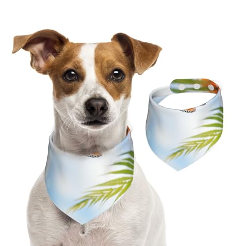 Doppelseitiges Hundehalstuch aus Baumwolle, für Mädchen und Jungen, waschbar, Schmetterlinge unter der Sonne, für kleine, mittelgroße und große Hunde, Katzen, Haustiere, Größe M Doppelseitiges Hundehalstuch aus Baumwolle, für Mädchen und Jungen, waschbar, Schmetterlinge unter der Sonne, für kleine, mittelgroße und große Hunde, Katzen, Haustiere, Größe M von OIBNKCN