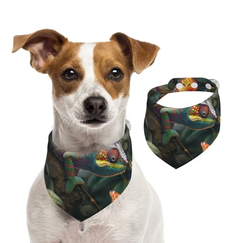 Doppelseitiges Hundehalstuch aus Baumwolle, für Mädchen und Jungen, waschbar, bunte Eidechsen, Futtersuche, für kleine, mittelgroße und große Hunde, Katzen, Haustiere, klein Doppelseitiges Hundehalstuch aus Baumwolle, für Mädchen und Jungen, waschbar, bunte Eidechsen, Futtersuche, für kleine, mittelgroße und große Hunde, Katzen, Haustiere, klein von OIBNKCN