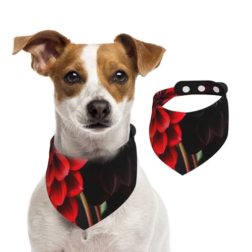 Doppelseitiges Hundehalstuch aus Baumwolle, für Mädchen und Jungen, waschbar, geheimnisvolle Jasminblüte, für kleine, mittelgroße und große Hunde, Katzen, Haustiere, Größe L Doppelseitiges Hundehalstuch aus Baumwolle, für Mädchen und Jungen, waschbar, geheimnisvolle Jasminblüte, für kleine, mittelgroße und große Hunde, Katzen, Haustiere, Größe L von OIBNKCN