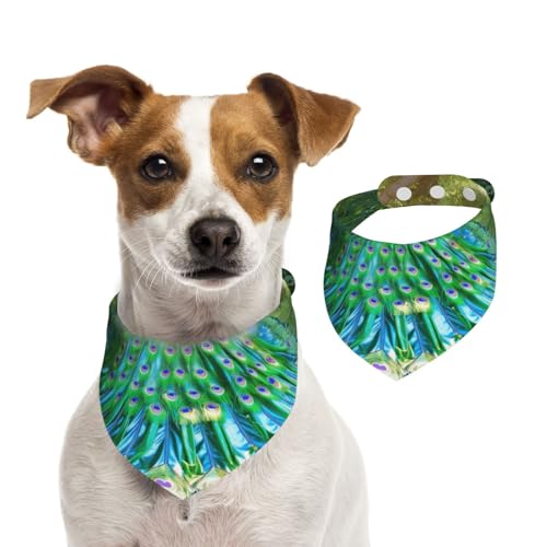 Doppelseitiges Hundehalstuch aus Baumwolle, für Mädchen und Jungen, waschbar, mit Pfauenmotiv, für kleine, mittelgroße und große Hunde, Katzen, Haustiere, klein Doppelseitiges Hundehalstuch aus Baumwolle, für Mädchen und Jungen, waschbar, mit Pfauenmotiv, für kleine, mittelgroße und große Hunde, Katzen, Haustiere, klein von OIBNKCN