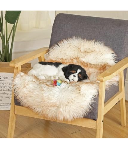 OISE ART STORE Trade Shop – Teppich aus Kunstfell für Haustiere, Wohnzimmer, Schlafzimmer, waschbar, 40 x 60 cm OISE ART STORE Trade Shop – Teppich aus Kunstfell für Haustiere, Wohnzimmer, Schlafzimmer, waschbar, 40 x 60 cm von OISE ART STORE