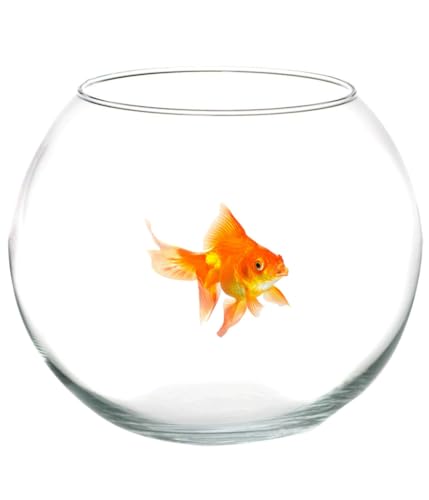 Trade Shop – Ampulle für Fische aus Glas, 25 cm, Aquarium Rotfisch Mittelstück Haus - Trade Shop – Ampulle für Fische aus Glas, 25 cm, Aquarium Rotfisch Mittelstück Haus - von OISE ART STORE