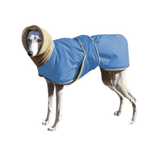 Hundeschlafanzüge, Desktop-Gesangskabine for Aufnahmen, Isolationsschild, Stimmabsorptionsschild for Filtern von Gesang, for Heimstudio, Musikaufnahme(Blue,4XL) von OJHFJMGH