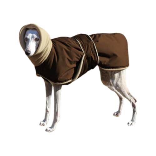Hundeschlafanzüge, Desktop-Gesangskabine for Aufnahmen, Isolationsschild, Stimmabsorptionsschild for Filtern von Gesang, for Heimstudio, Musikaufnahme(Brown,XL) von OJHFJMGH