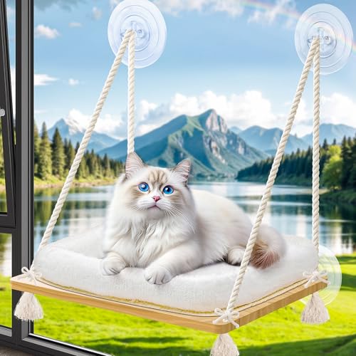 Katzenfensterstange Katzenhängematte für Fenster Katzenfenstersitz mit Kissen Bettbezug Massivholzsitz mit starken Saugnäpfen Hängendes Katzenbett für kleine, mittelgroße Indoor-Katzen Katzenfensterstange Katzenhängematte für Fenster Katzenfenstersitz mit Kissen Bettbezug Massivholzsitz mit starken Saugnäpfen Hängendes Katzenbett für kleine, mittelgroße Indoor-Katzen von OJLUOJ