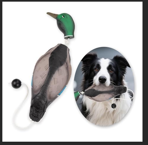 OJTOJT Dummy Hundetraining, Apportierdummy Ente Mit Wurfknebel, Hunde Dummy Training Wasserfest, Enten Dummy Aus Eva, Hund Retrieve Schnuller Für Welpen Oder Erwachsene Jagdhunde OJTOJT Dummy Hundetraining, Apportierdummy Ente Mit Wurfknebel, Hunde Dummy Training Wasserfest, Enten Dummy Aus Eva, Hund Retrieve Schnuller Für Welpen Oder Erwachsene Jagdhunde von OJTOJT