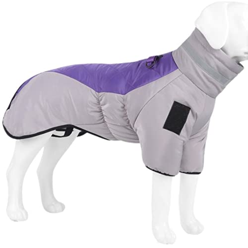 Winter-Haustier-Hundekleidung, warm, dick, groß, wasserdicht, Baumwolle, kleine, mittelgroße Hundekleidung, Labrador, französische Bulldogge, Violett, 5XL von OKGD