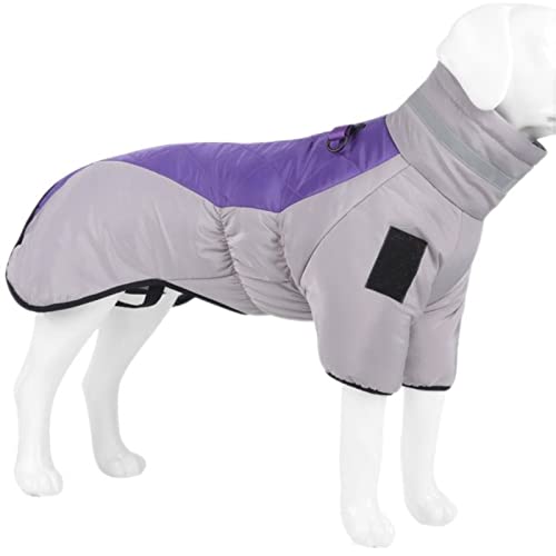 Winter-Haustier-Hundekleidung, warm, dick, groß, wasserdicht, Baumwolle, kleine, mittelgroße Hundekleidung, Labrador, französische Bulldogge, Violett, XL von OKGD