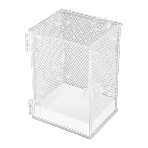 Mikrohabitat-Glasbehälter, Transparente Acryl-Reptilienbox, Reptilienzuchtbox, Reptilien-Insekten-Inkubator, Geeignet Für Reptilien-Ruhelebensraum Und Unterhaltung von OKJHFD