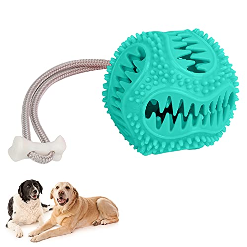 OKJHFD Hunde-Kauspielzeugball, bissfeste Beißspielzeugbälle für Haustiere, Kauzahnreinigungsball, interaktives Übungsspiel, IQ-Trainingsball für kleine, mittelgroße und große Hunde und (Lake Blue) OKJHFD Hunde-Kauspielzeugball, bissfeste Beißspielzeugbälle für Haustiere, Kauzahnreinigungsball, interaktives Übungsspiel, IQ-Trainingsball für kleine, mittelgroße und große Hunde und (Lake Blue) von OKJHFD