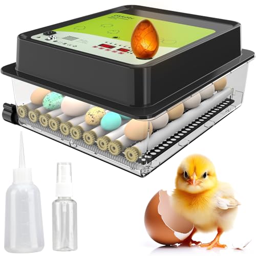OKKÖBI OBI-36 Brutautomat für Hühner, Enten & andere Vögel + Temperaturkontrolle + Feuchtigkeitsanzeige + Brutautomat vollautomatisch + Integrierte Eierschale + 5 Jahre Schutz+ NEU OKKÖBI OBI-36 Brutautomat für Hühner, Enten & andere Vögel + Temperaturkontrolle + Feuchtigkeitsanzeige + Brutautomat vollautomatisch + Integrierte Eierschale + 5 Jahre Schutz+ NEU von OKKÖBI